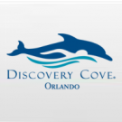 Discovery Cove Ultimate SEM NADO com Golfinho + SeaWorld Orlando + Aquatica Orlando + Busch Gardens Tampa (3 anos ou mais)